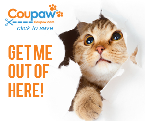 National Cat Day Discounts at FlexOffers.com