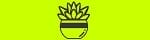 Succulent Studios Affiliate Program
