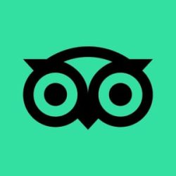 TripAdvisor square logo